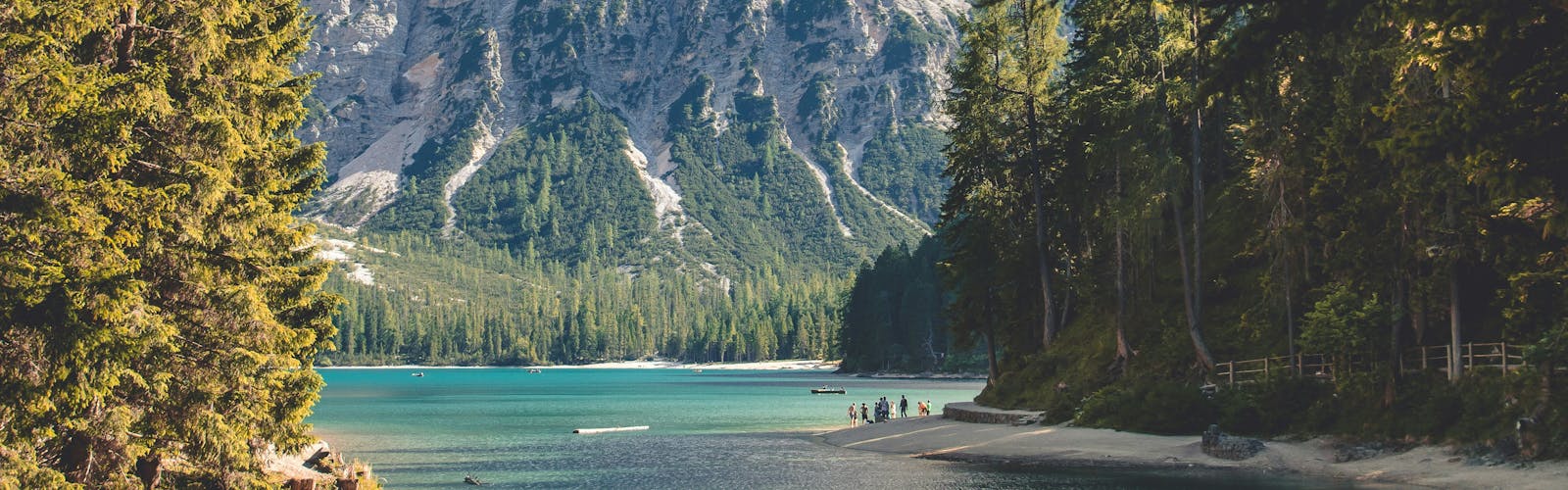 Mountains with a lake and fir trees
