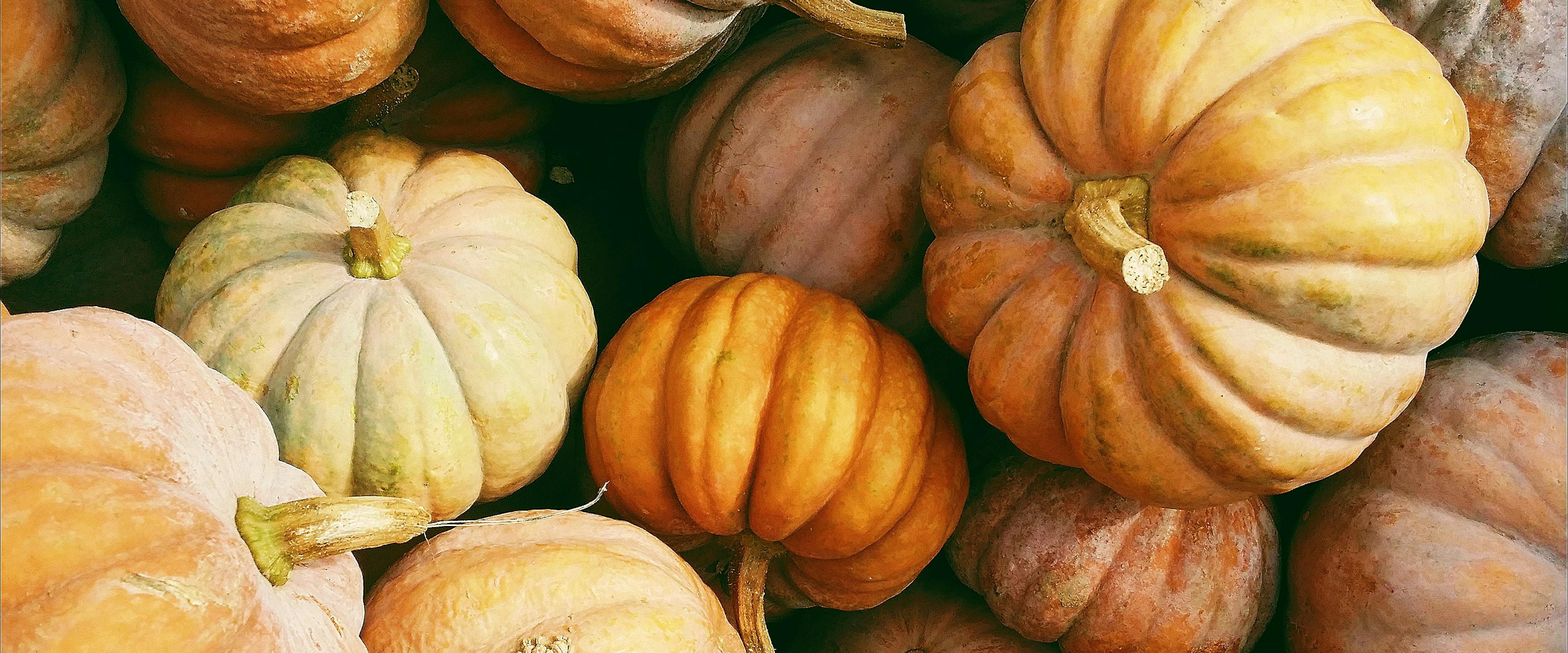 Different types of pumpkins