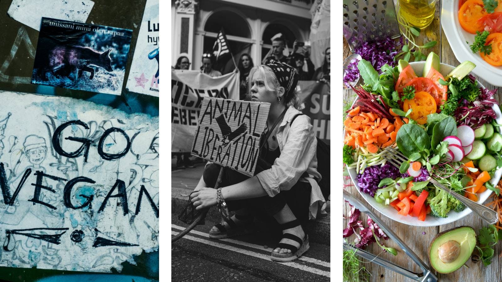 Composite photo with a pro-veganism sign, a vegan activist, and a plate of salad