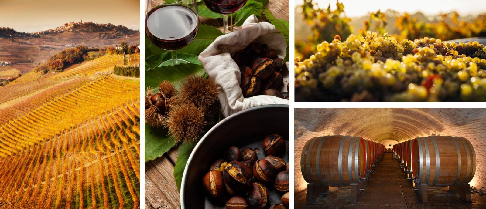 Composite autumn-themed photo with a vineyard, roasted chestnuts, harvested grape clusters, and wine barrels