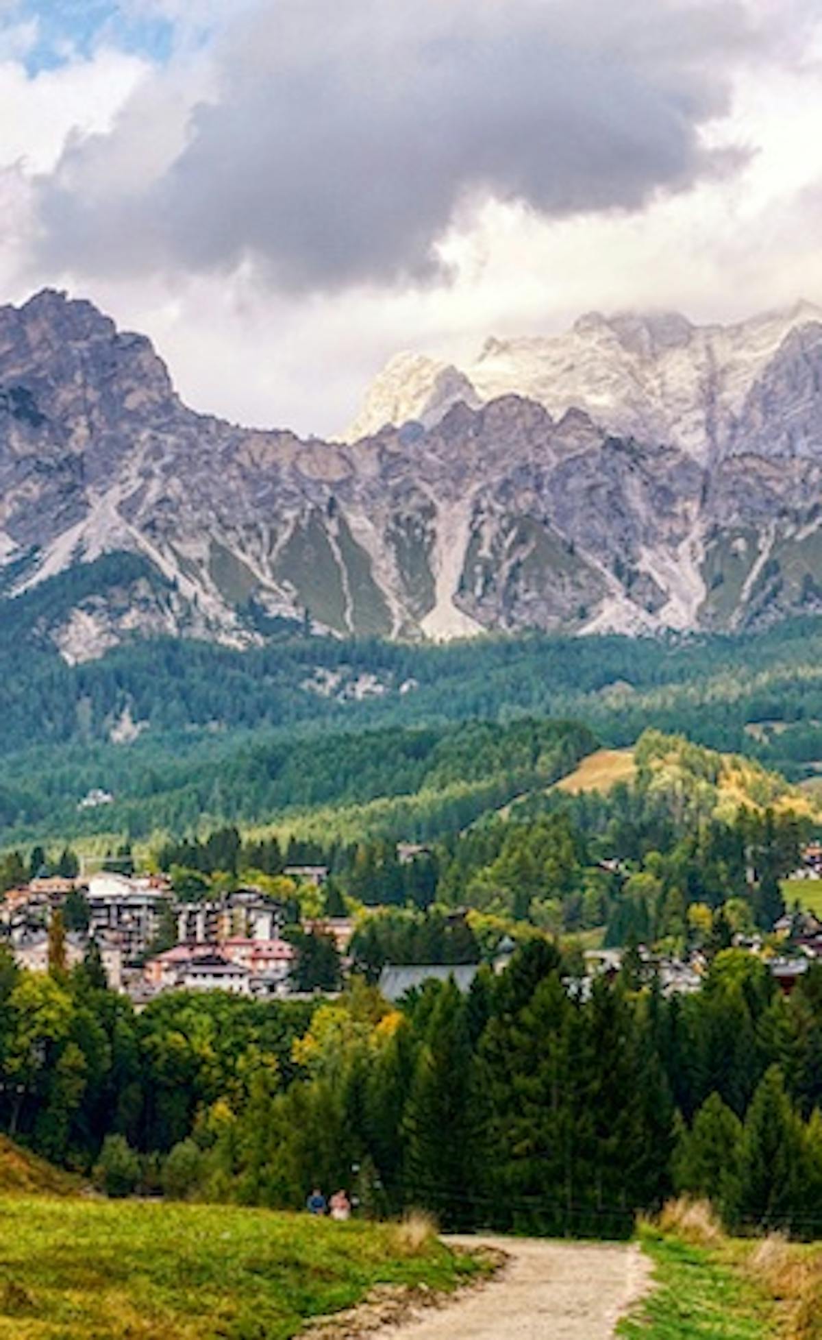 Montagne e prati alpini