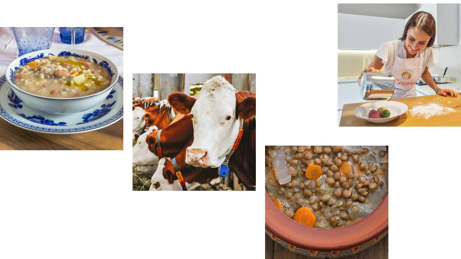 Composite photo featuring mountain scenes: soups, cattle, dumplings.