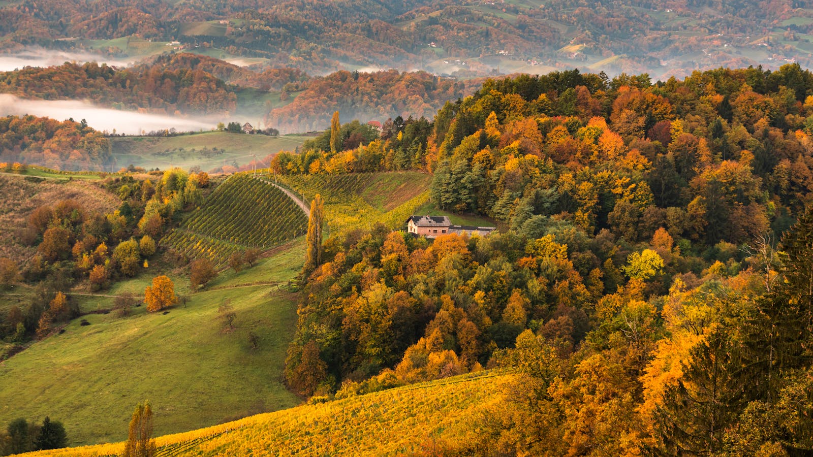 colline toscane autunno