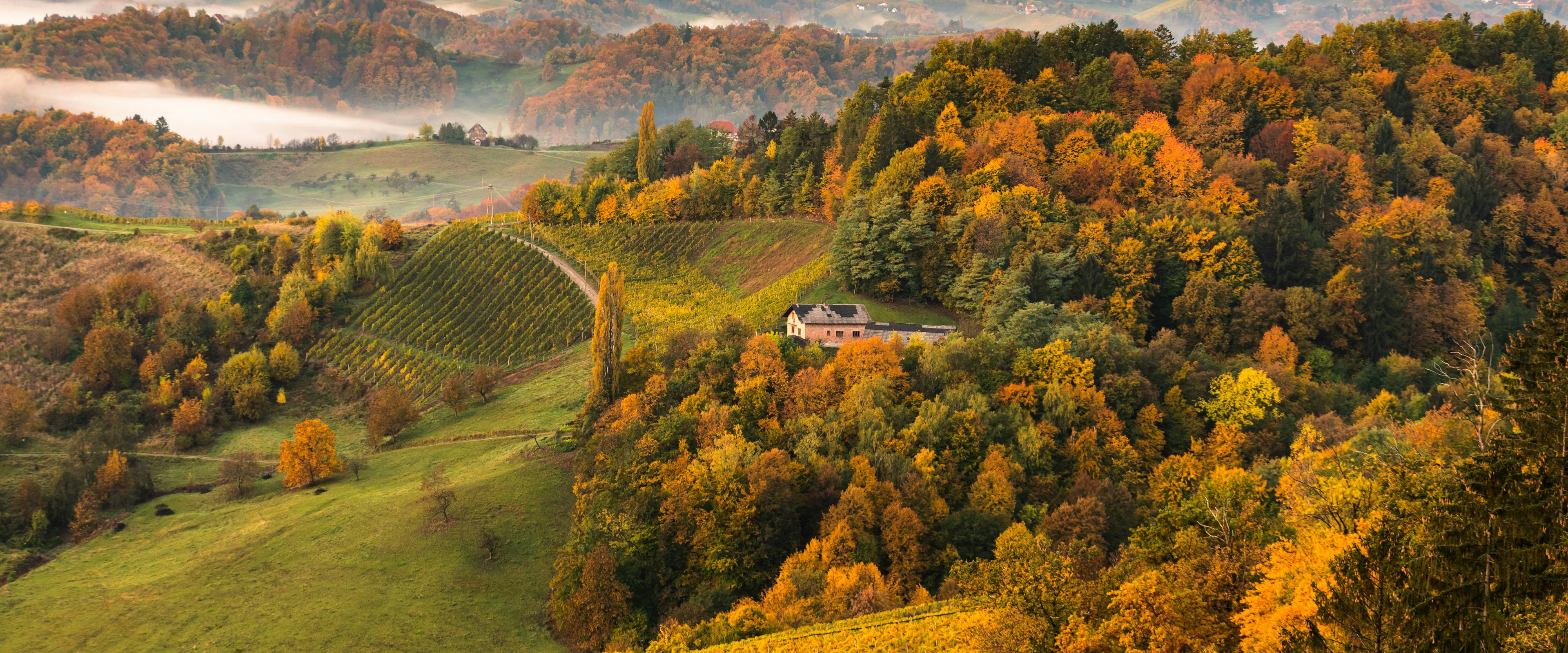 colline toscane autunno