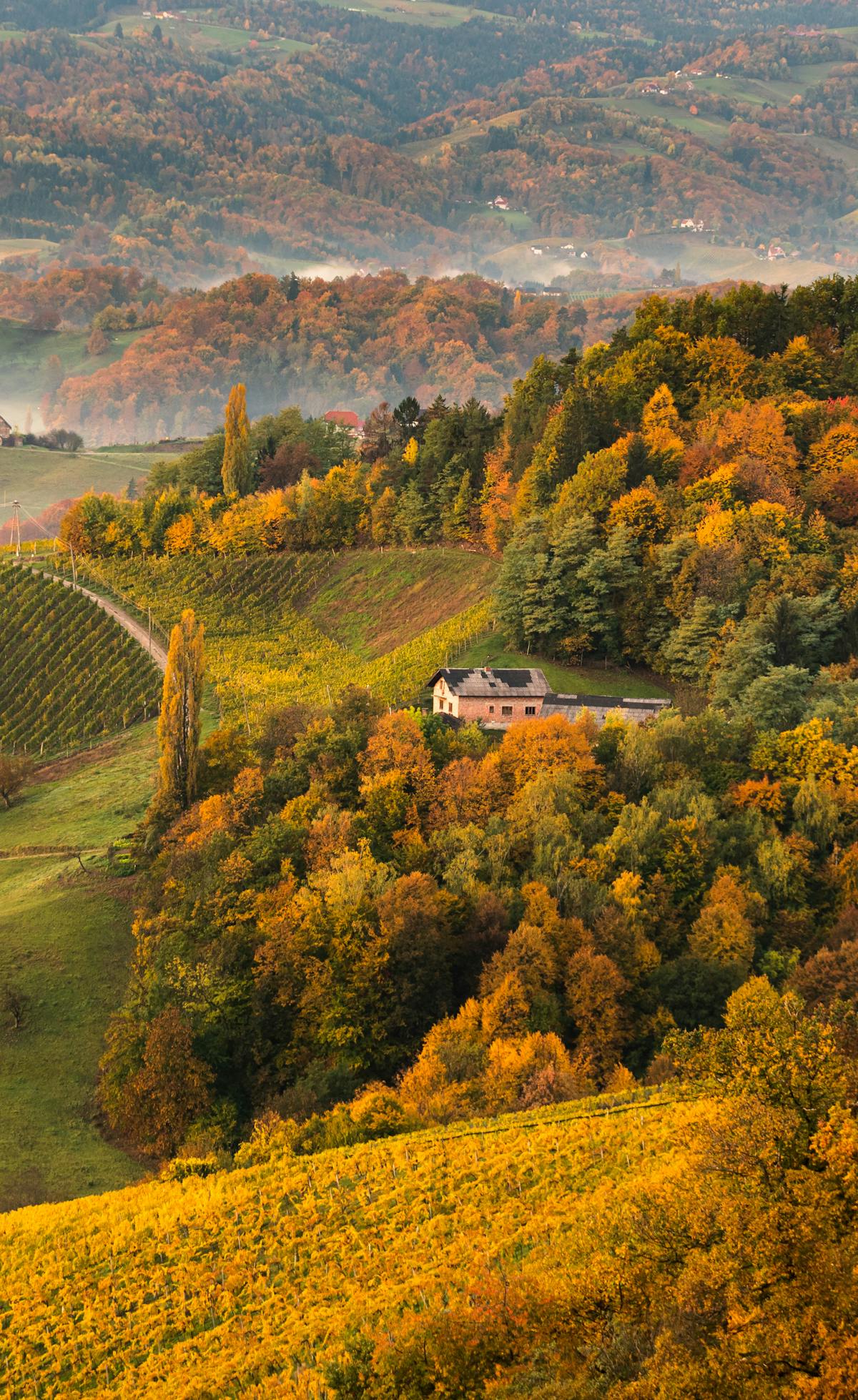 colline toscane autunno