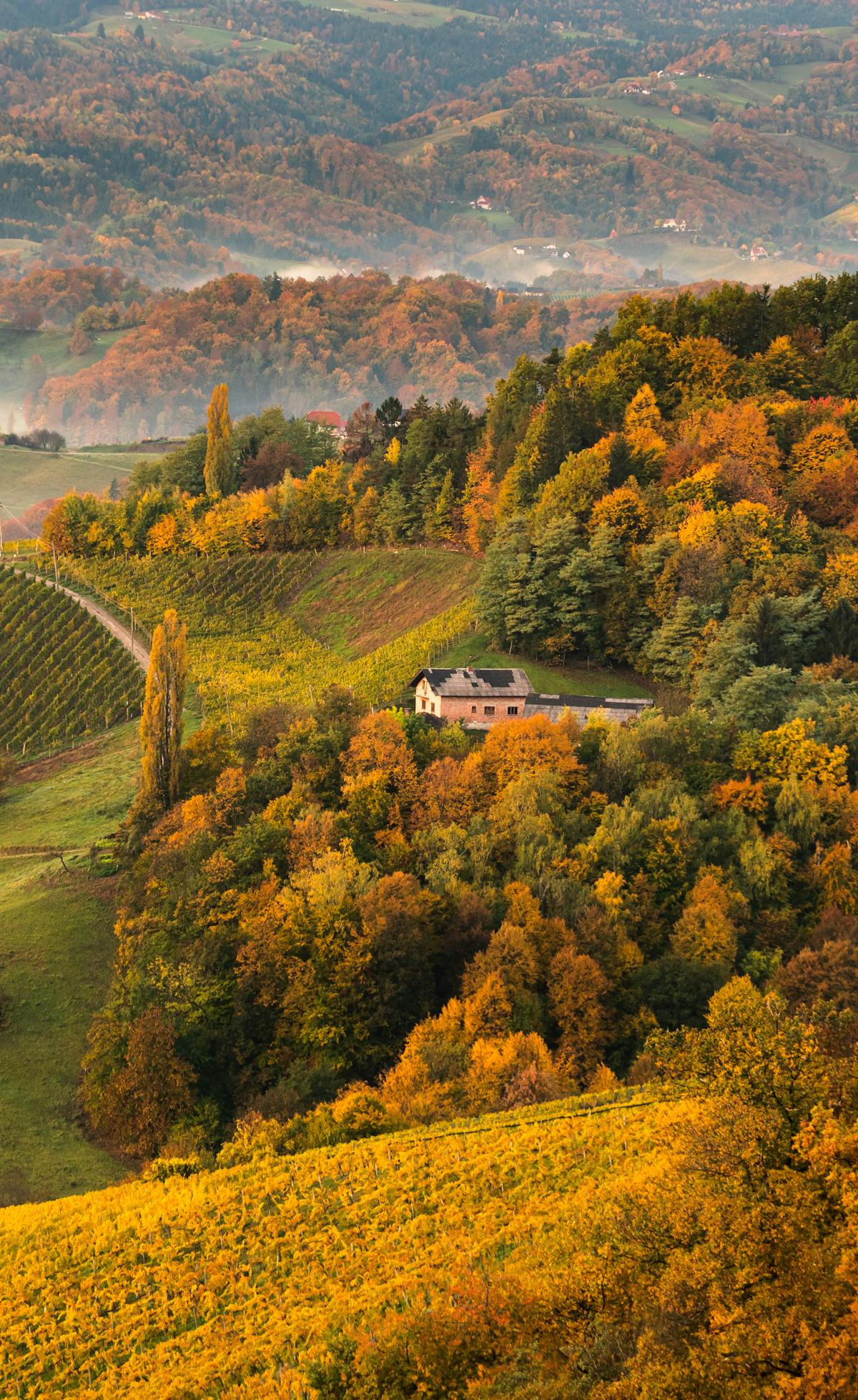 colline appennino autunno