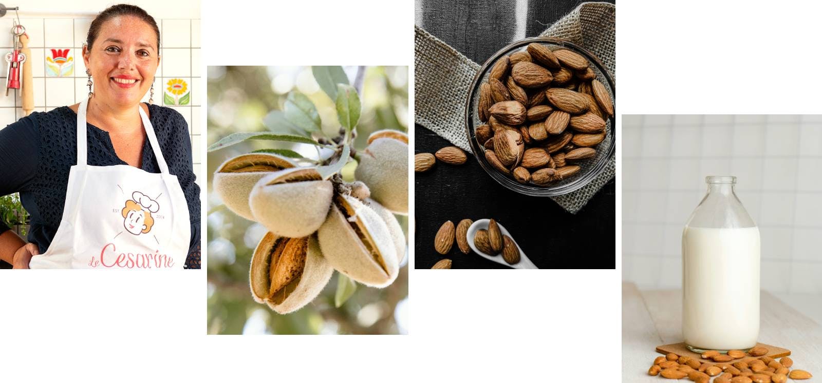 Latte di mandorla, mandorle, Cesarina Gilda