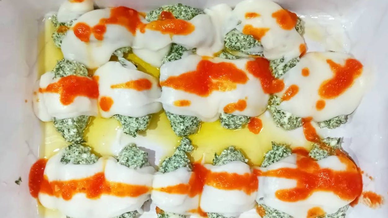 Gnudi