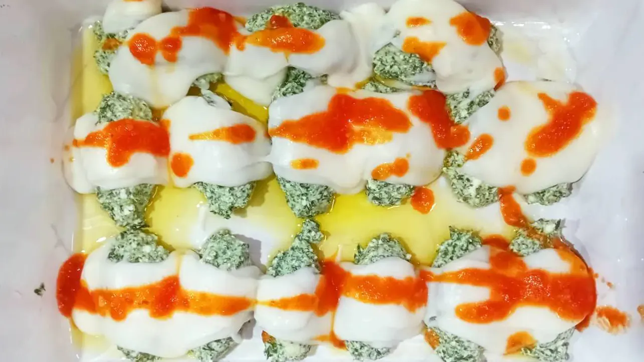 Gnudi