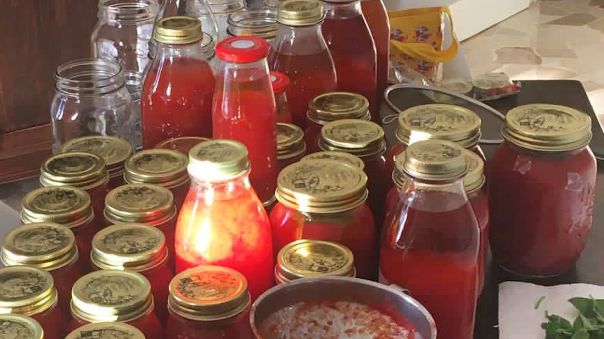 Bocaux de sauce tomate maison
