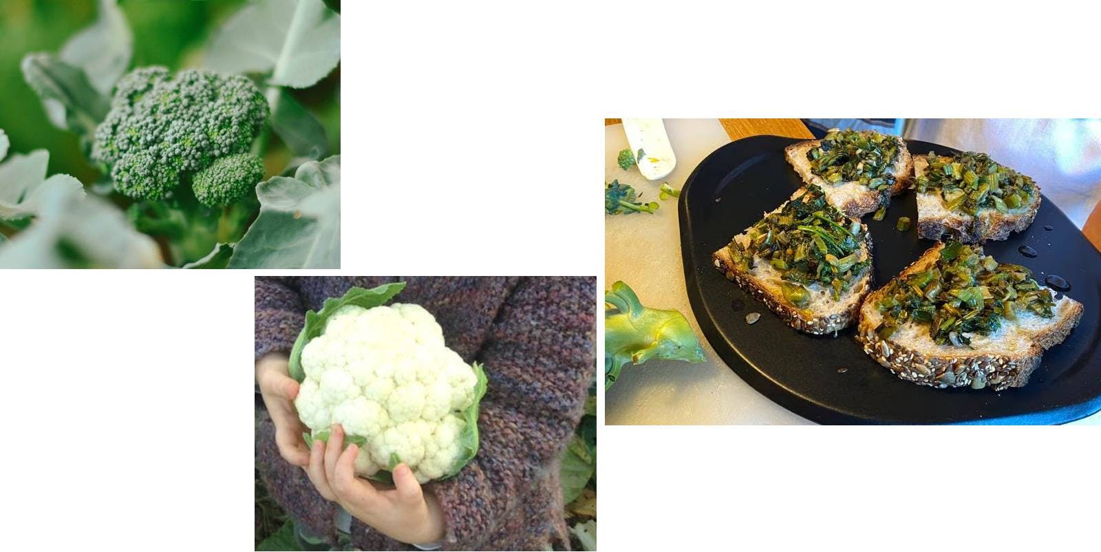 bruschetta with broccoli or cauliflower leaves