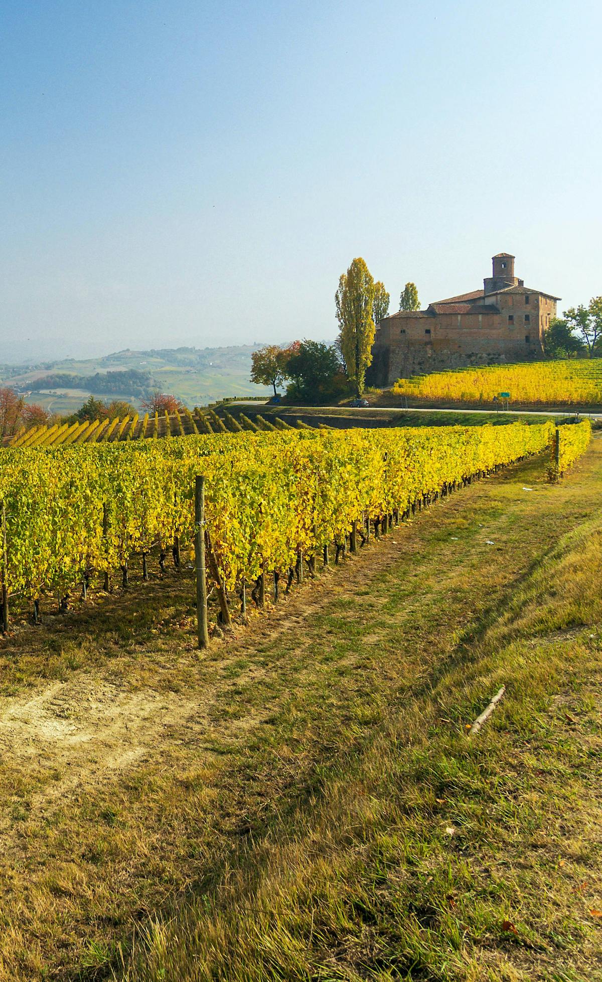 Barolo, Piemonte, vigneto, autunno