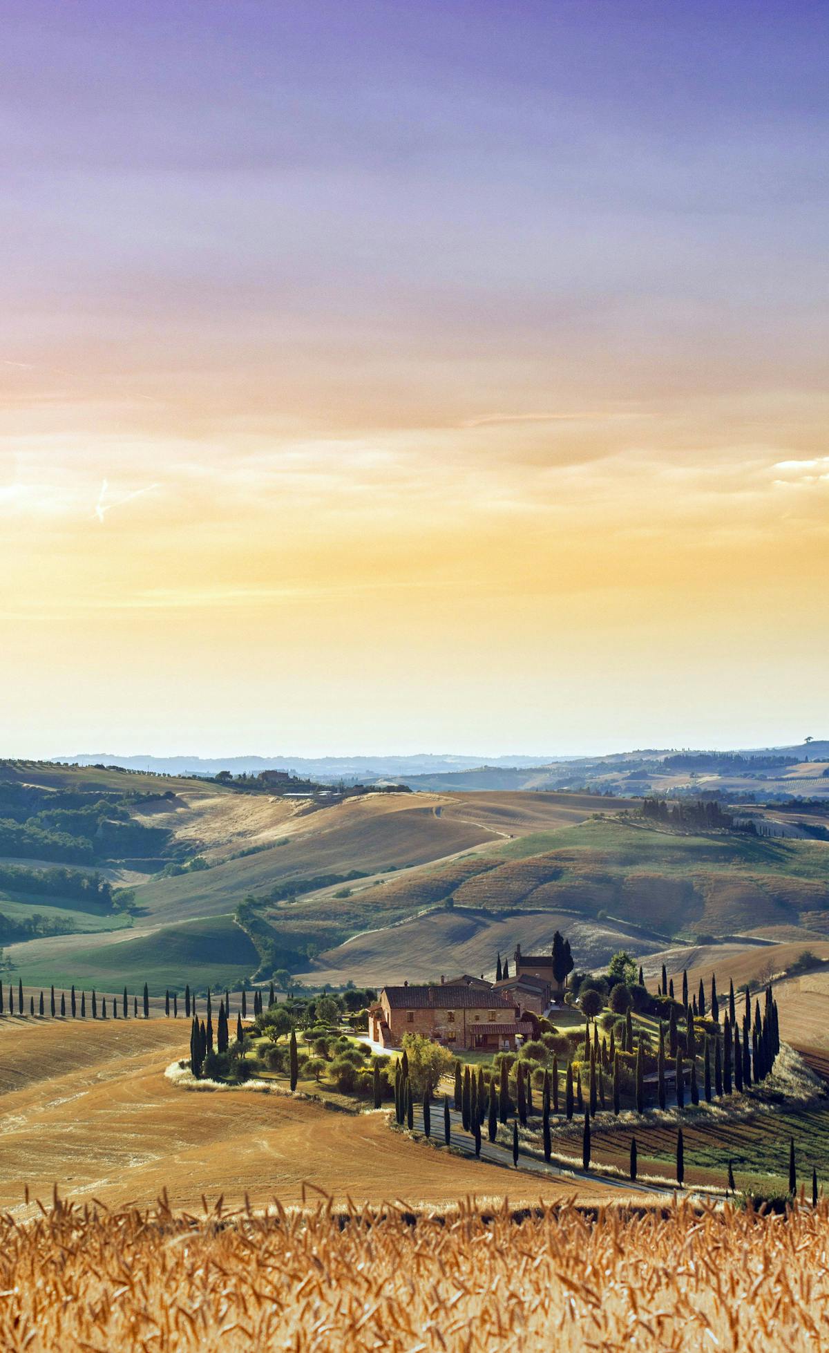Countryside, dusk