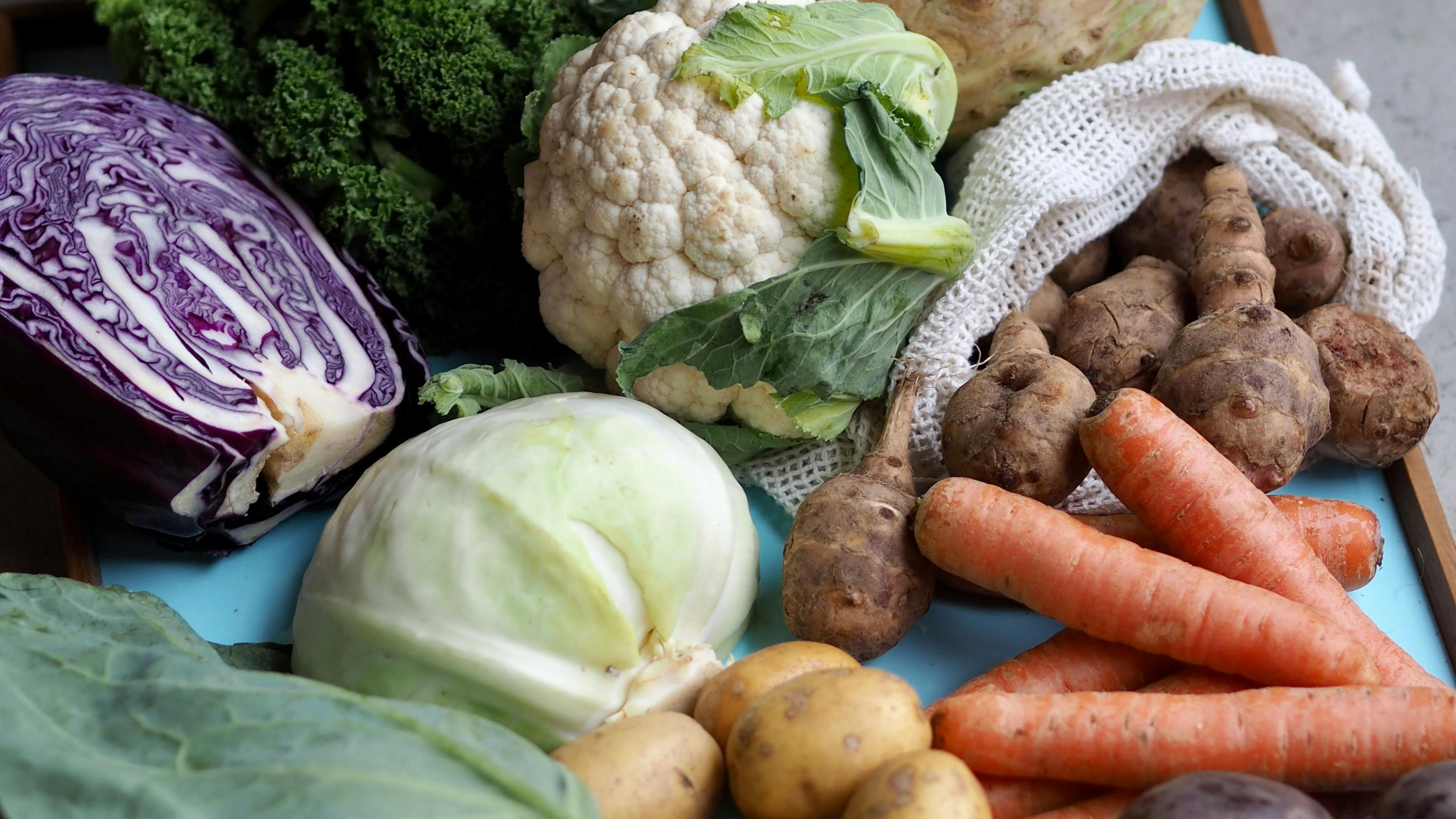 World vegan day, vegetables