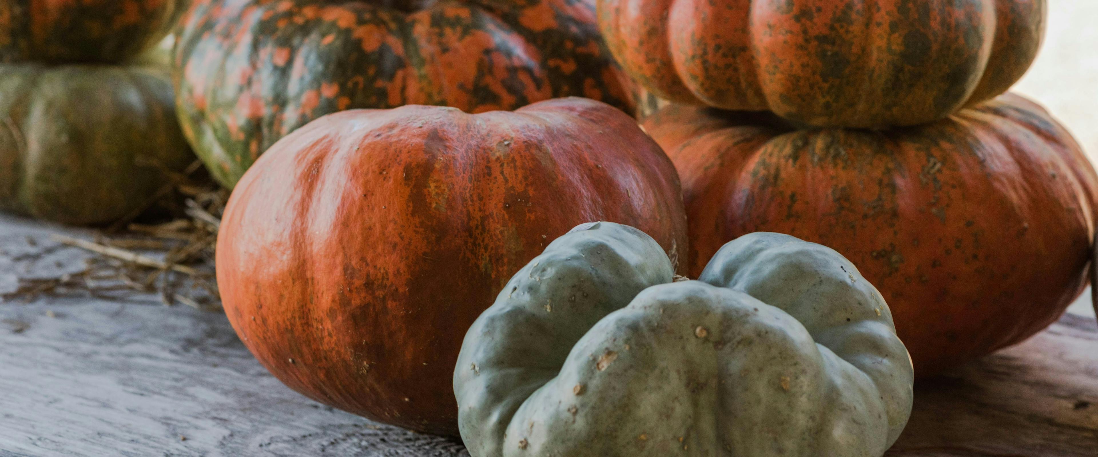 Pumpkin, autumn