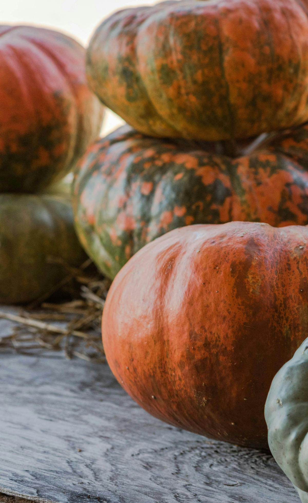 Zucche, autunno