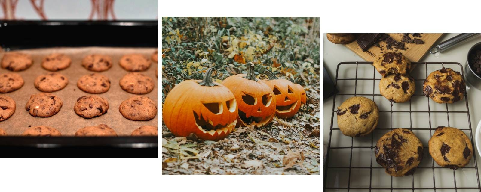 Biscotti alla zucca e cioccolato con cannella, zucche intagliate per halloween, Jack-o'-lantern, cookie di zucca e cioccolato appena sfornati