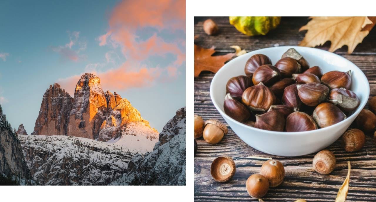 Mountain and chestnuts