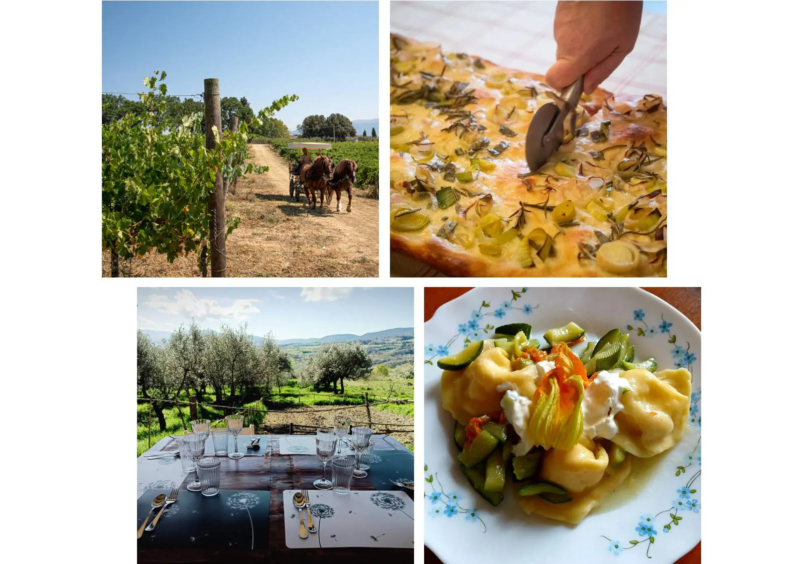 Le esperienze di Cesarine in Umbria