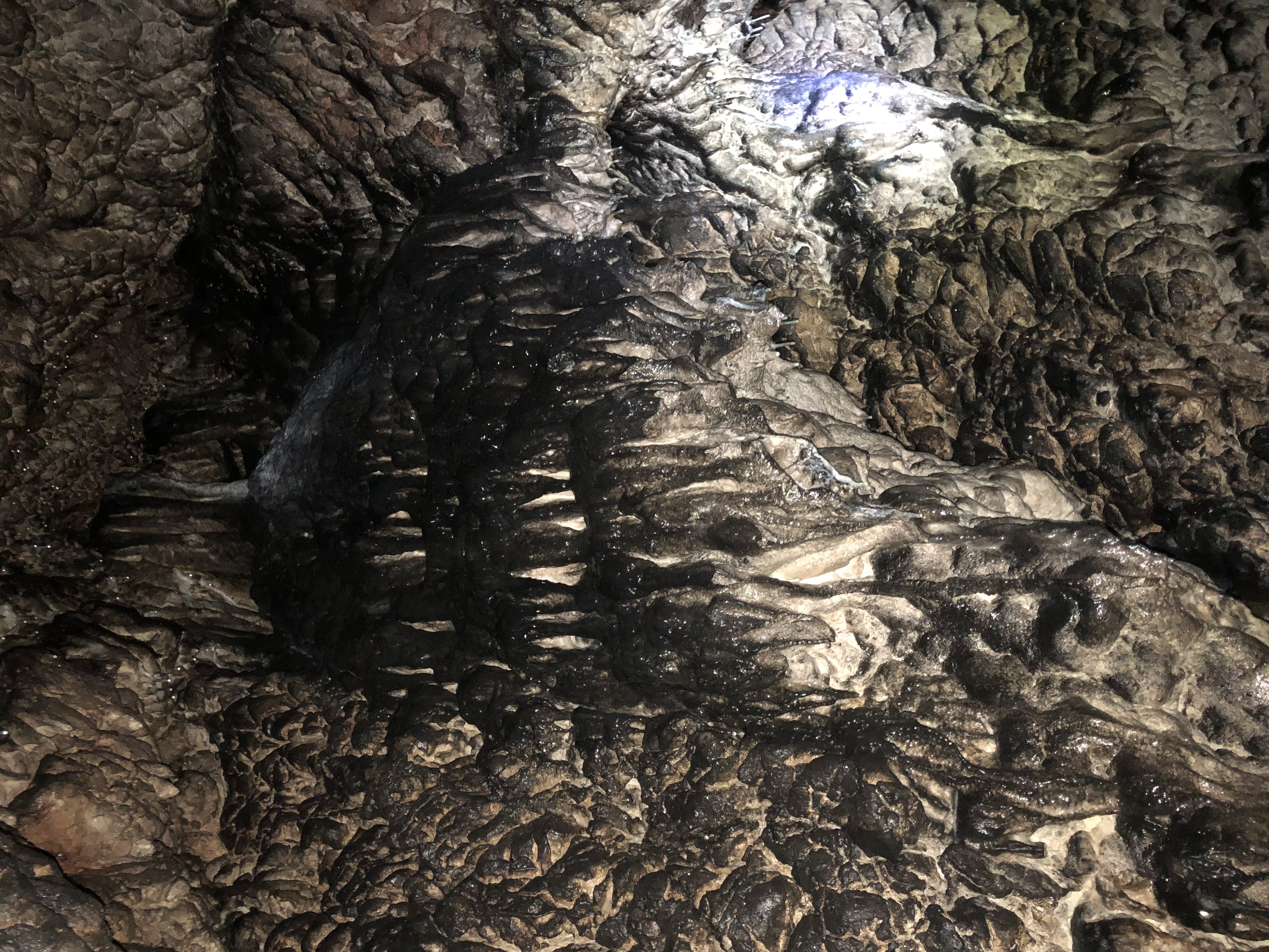 Peștera Poarta Zmeilor