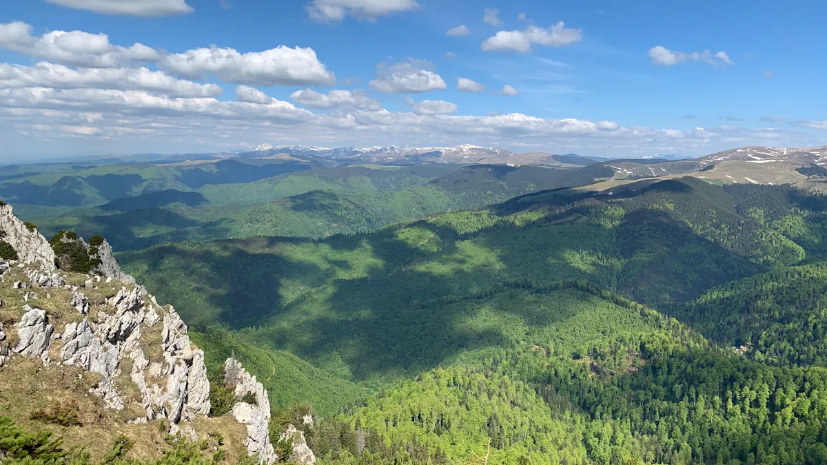 Vedere din Șaua Ștevioara