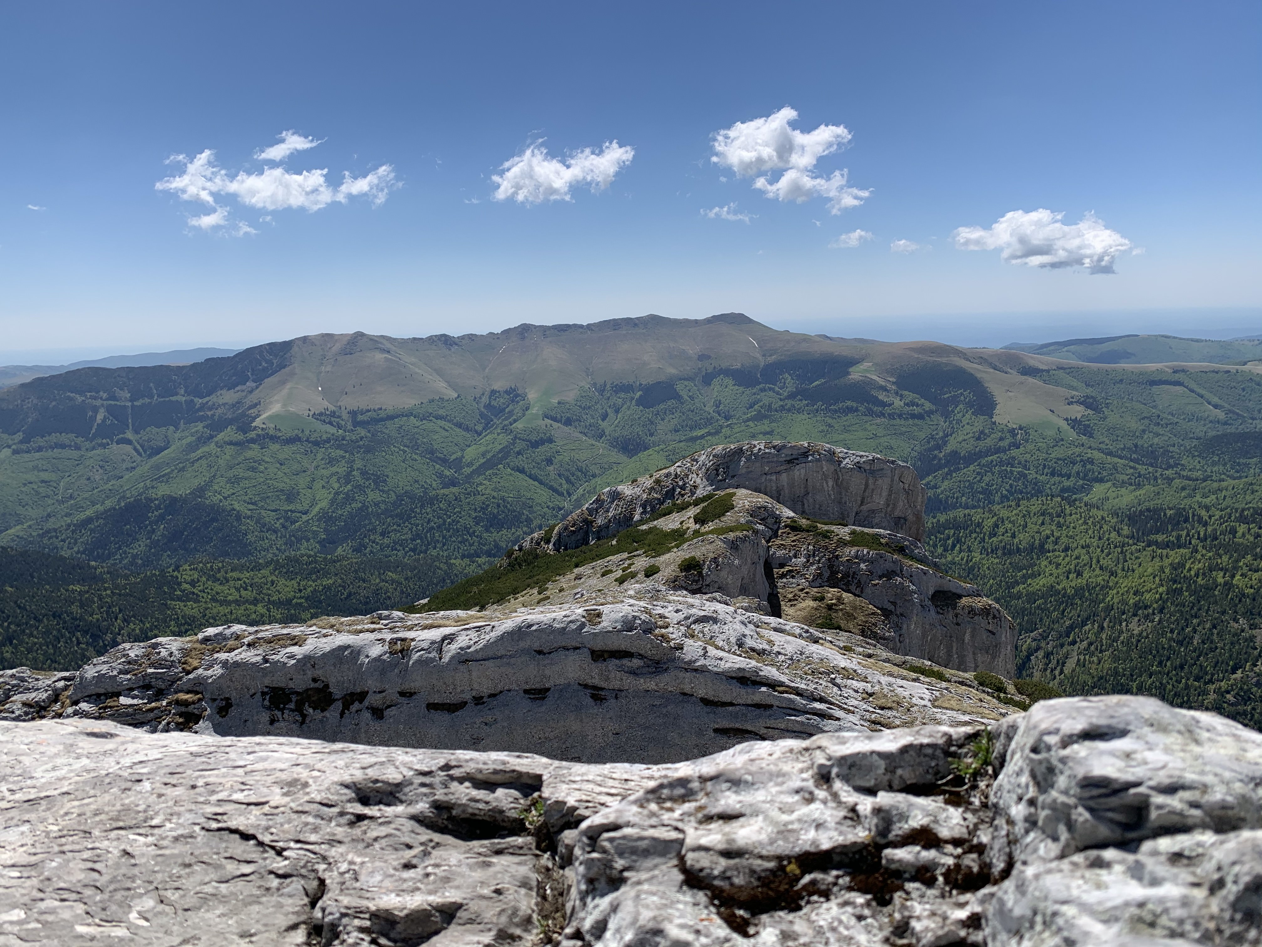 Vârful Piatra Iorgovanului (2014m)