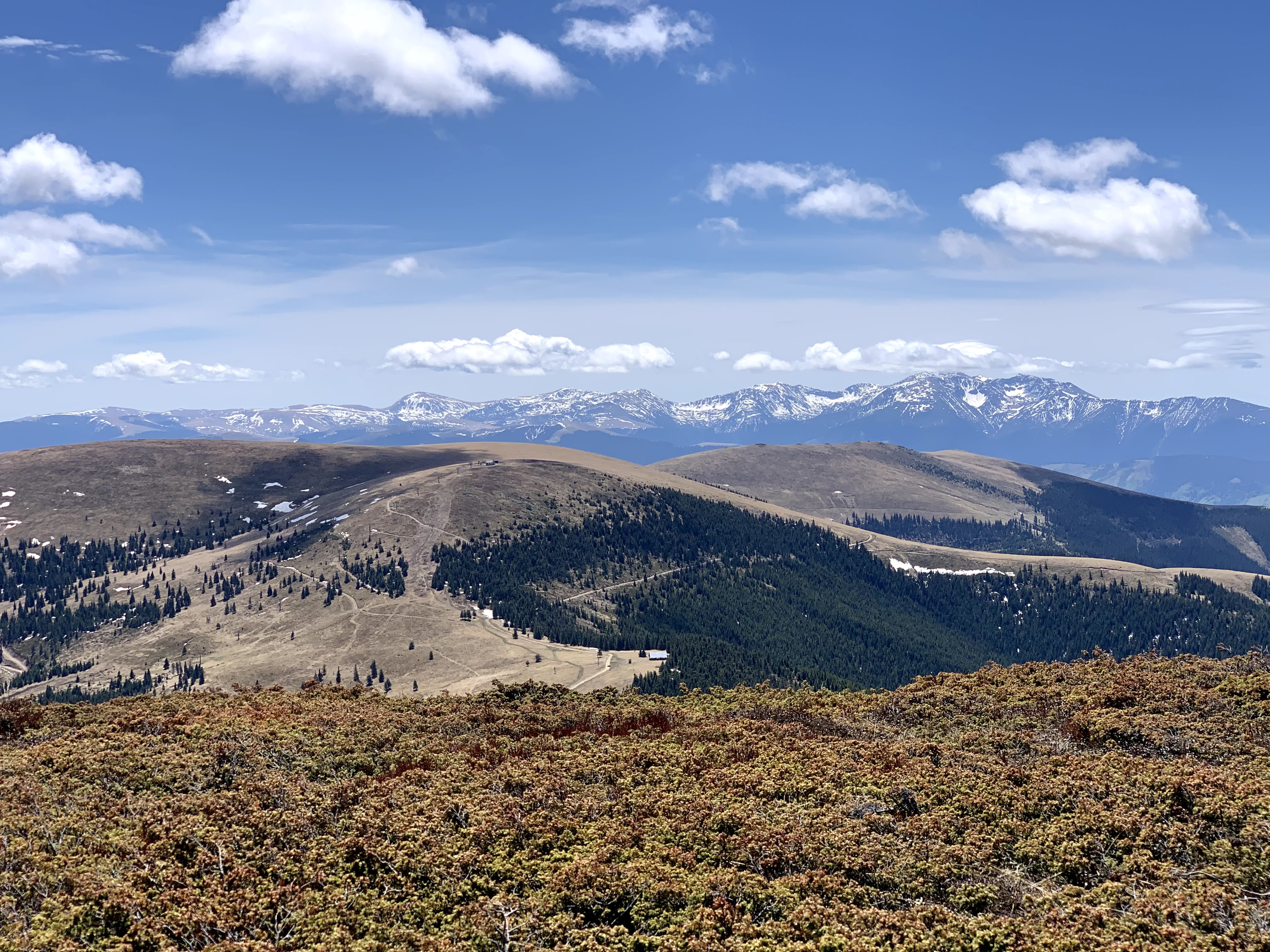 Vârful Șureanu (2059m)