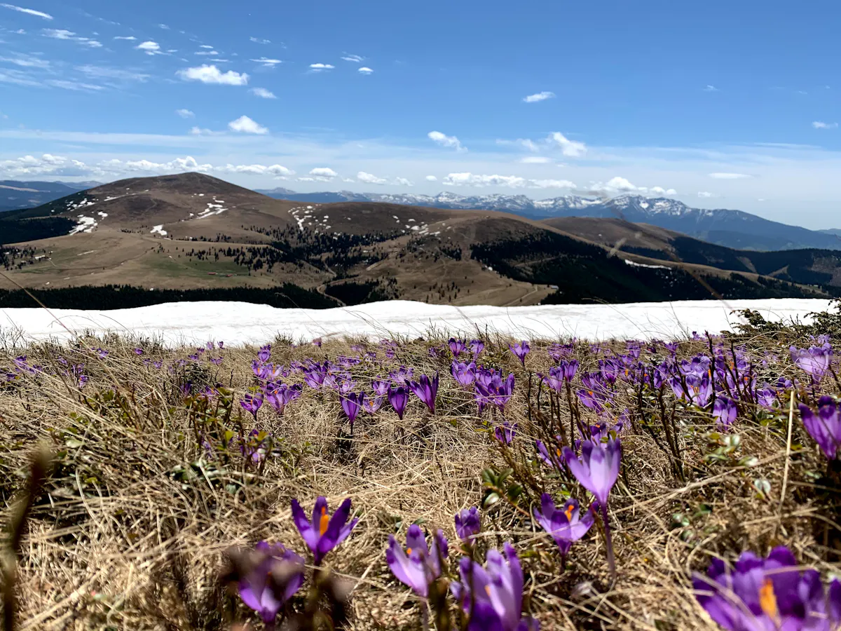 Loc de picnic pe Vârful Șureanu