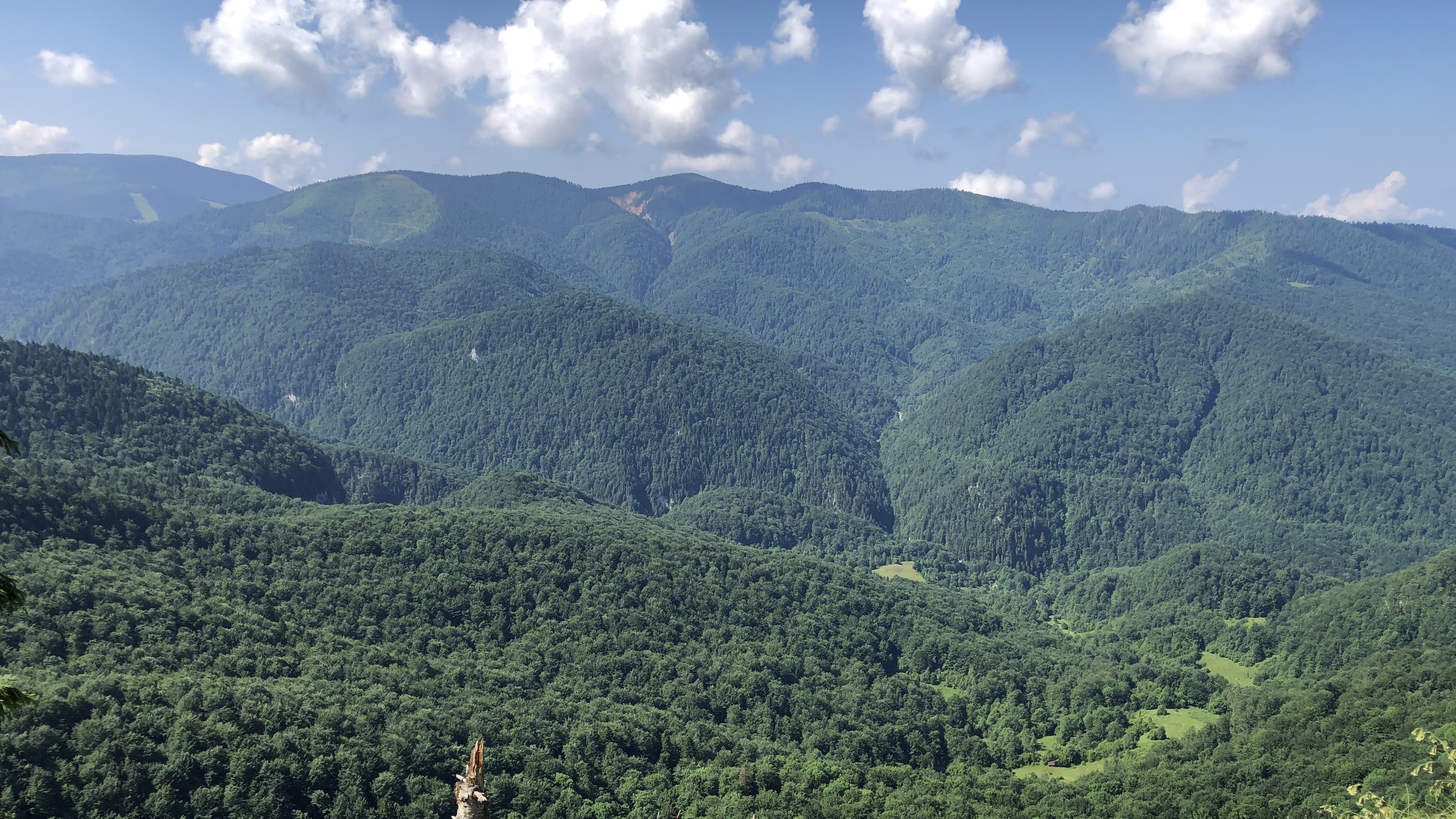 Circuitul Galbenei din Padiș