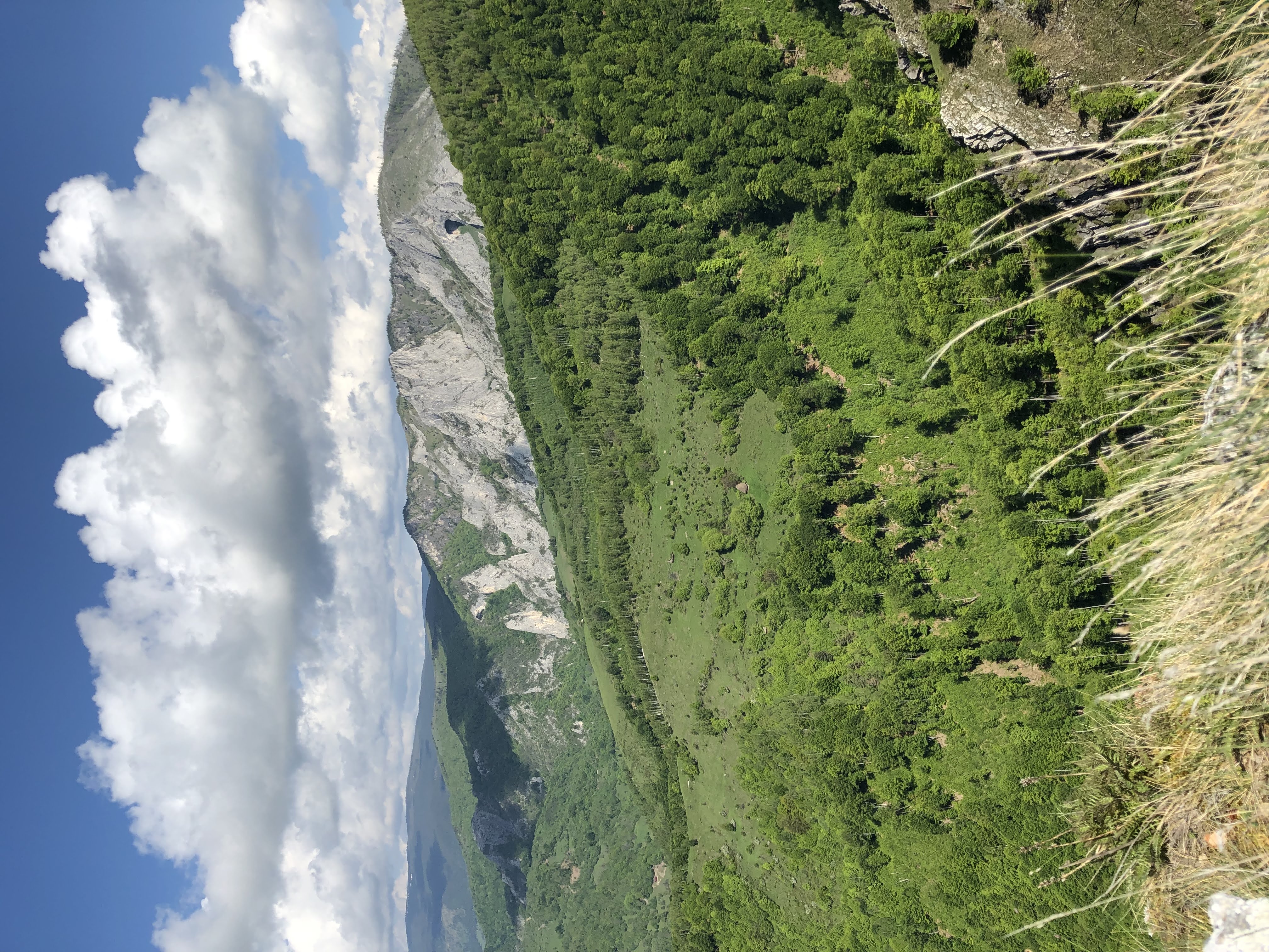 Vedere de pe vârful Vulturese înspre Scărița - Belioara