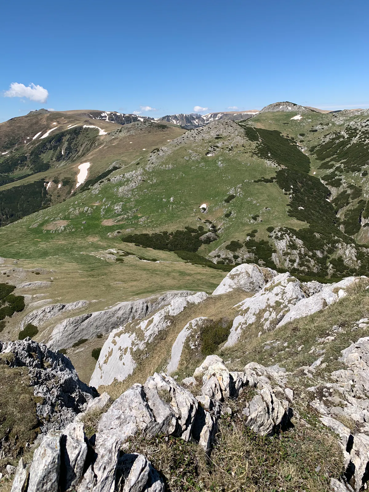 Munții Godeanu în depărtare