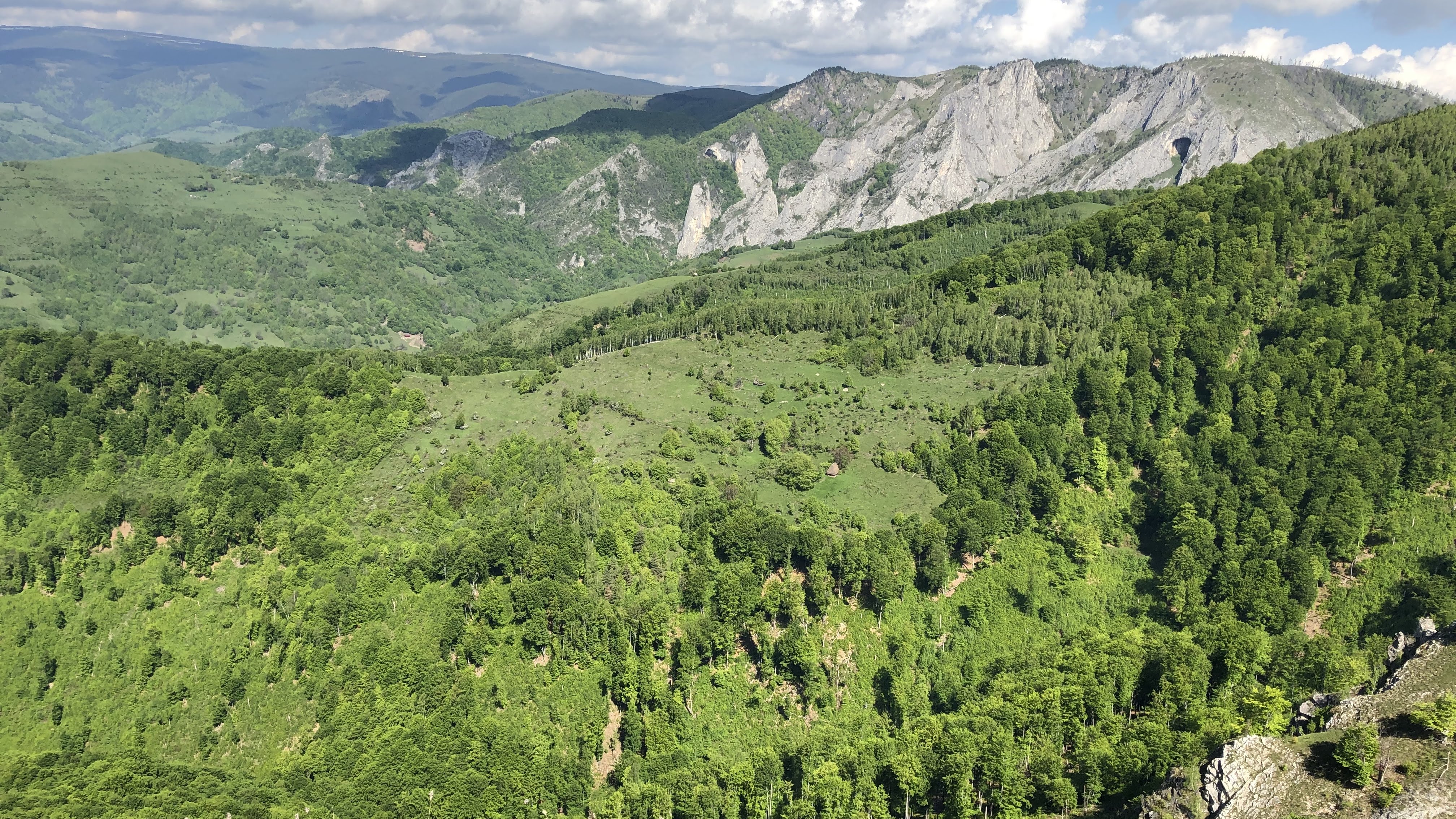 Rezervația Scărița - Belioara