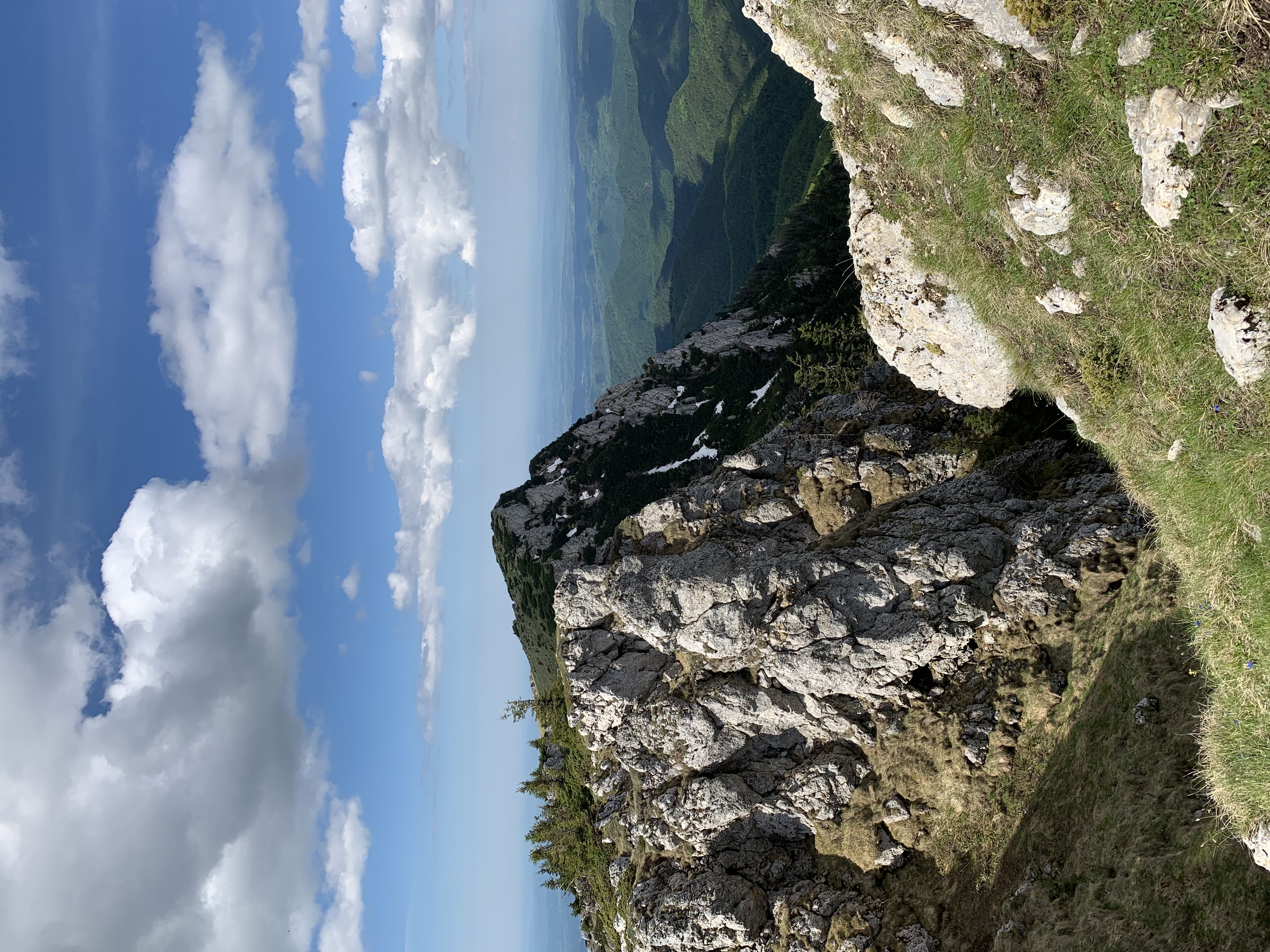 Vârful Vânturarița Mare (1885m)