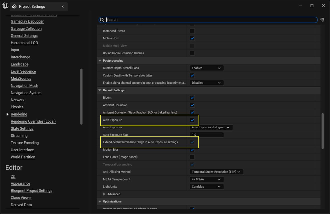 A screenshot of the "Auto Exposure" and "Extend default luminance range in Auto Exposure settings" options in the Project Settings.