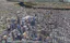 Use the mouse and keyboard to zoom, pan, and tilt to explore Philadelphia in full 3D.