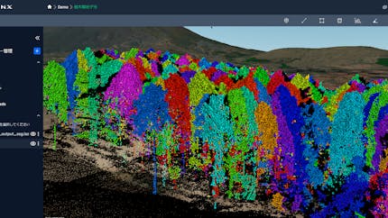 Point cloud of trees, with different colors representing height and other features