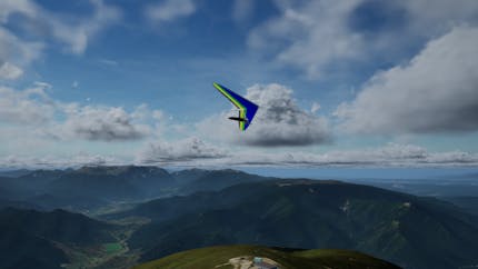 Hang glider in Freeflight Experience