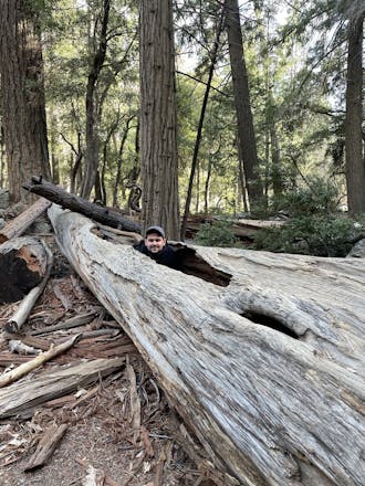 Jake Adelgren in a log