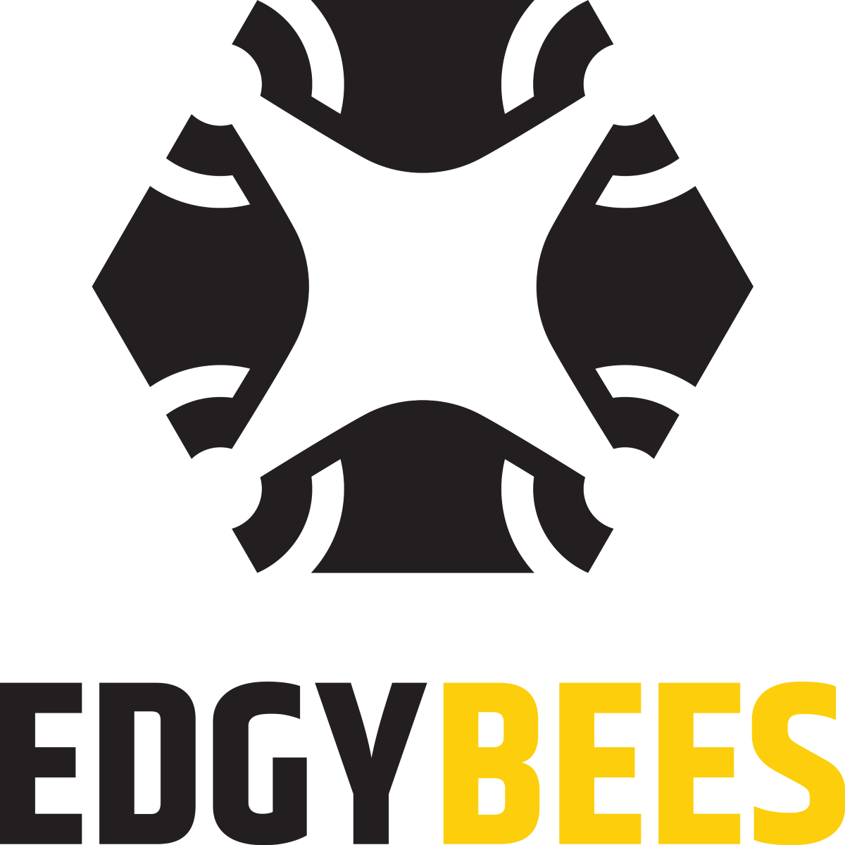 Edgybees, Cesium Certified Developer