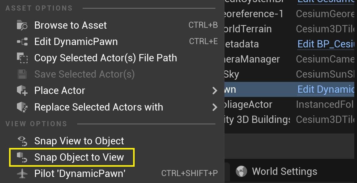 Cesium for Unreal tutorial: Visualize Mesh Features and Metadata. Snap Object to View, under View Options.