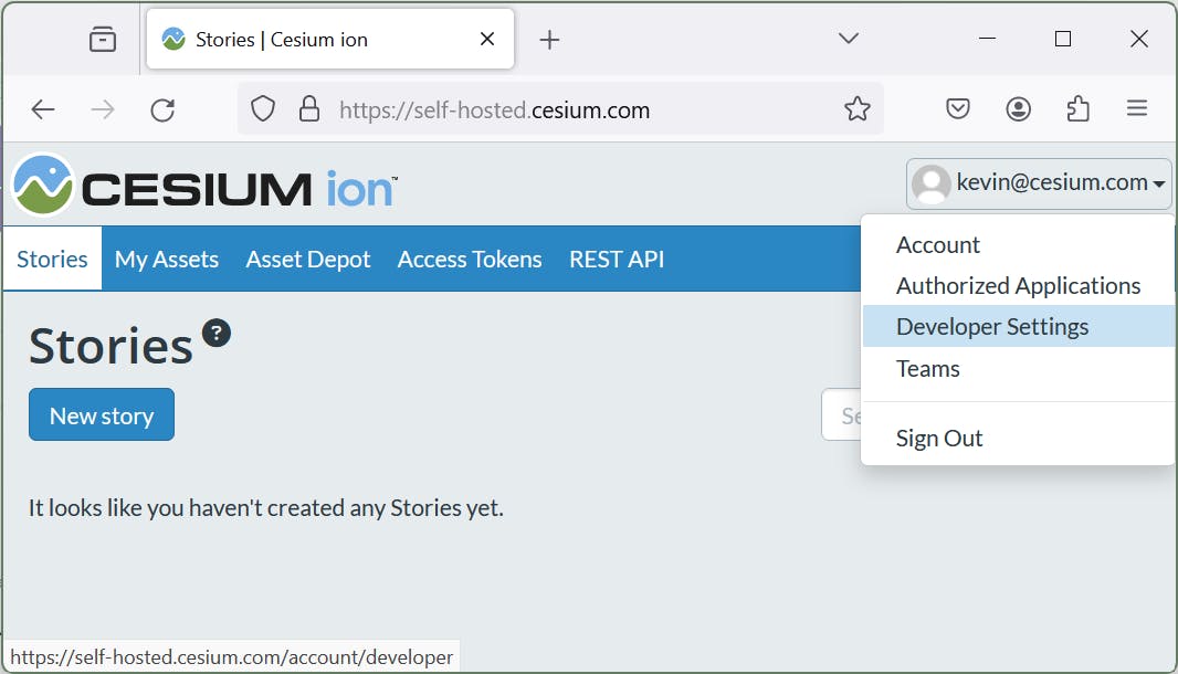 A screenshot of the Cesium ion Self-Hosted web interface with the Developer Settings menu option highlighted.