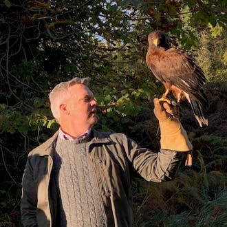 Dave Braig lifting a hawk perched on a falconry glove.