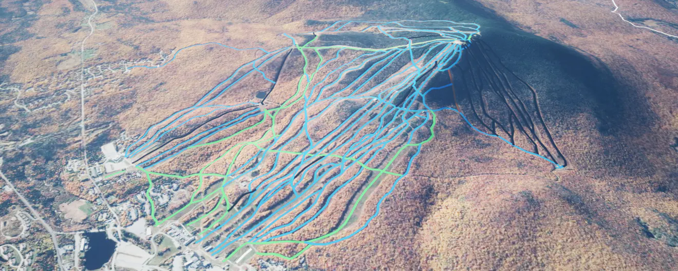 Difficulty of ski runs at Mount Snow, Vermont, USA, visualized using the CesiumVectorTilesRasterOverlay’s new styling capabilities. Data © OpenStreetMap contributors and OpenSkiMap.org.