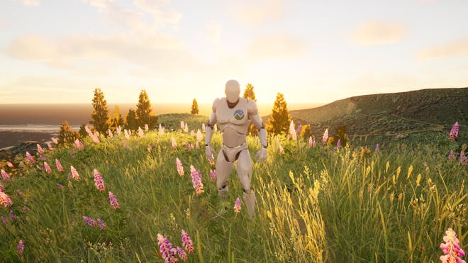 The Unreal Mannequin with a Cesium logo on his chest, standing on a hill covered with lupine flowers and the sun setting behind him.