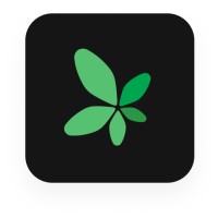 Vallaris Maps Certified Developer logo