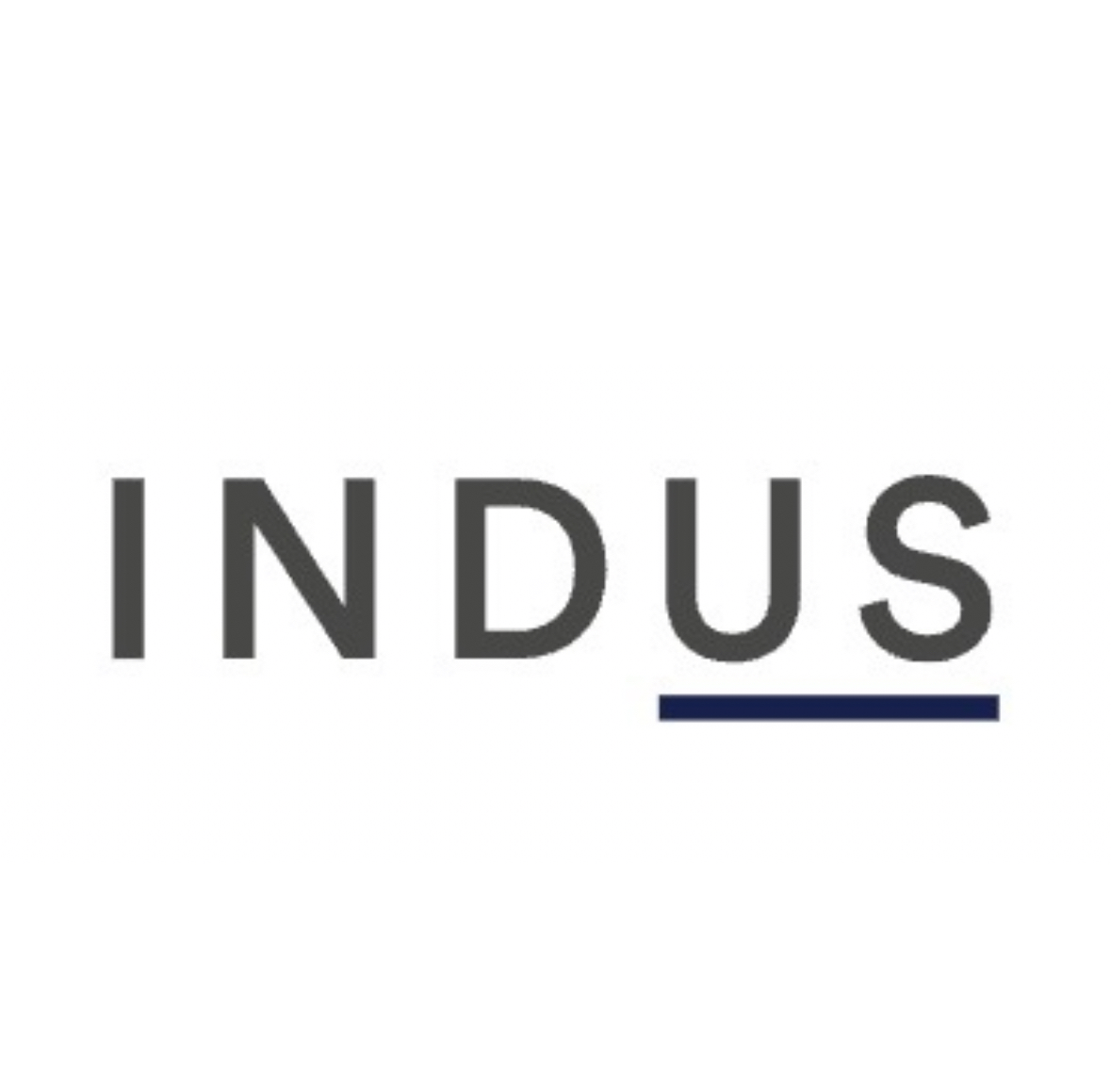 INDUS Technology logo