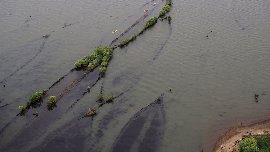 Photograph of shipwrecks at Mallows Bay