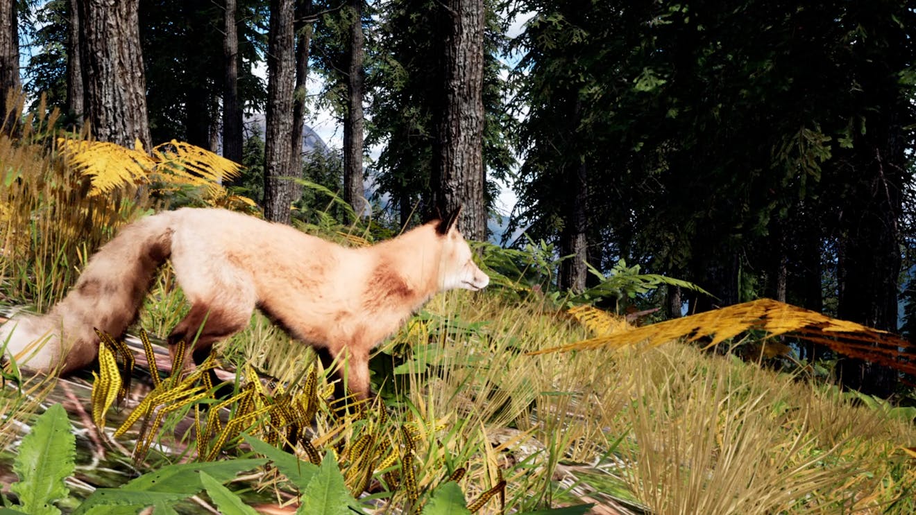 Students direct a fox to explore the Canadian wilderness in Fluid Planet, built with Cesium for Unreal. A red fox is on a grassy slope in the forest, with mountains in the background.