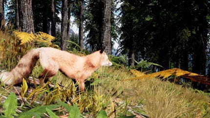 Students direct a fox to explore the Canadian wilderness in Fluid Planet, built with Cesium for Unreal. A red fox is on a grassy slope in the forest, with mountains in the background.