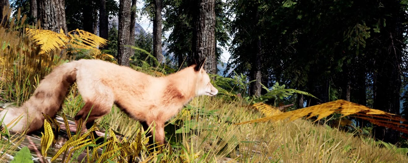 Students direct a fox to explore the Canadian wilderness in Fluid Planet, built with Cesium for Unreal. A red fox is on a grassy slope in the forest, with mountains in the background.